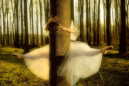 Promoshoot for La Sylphide